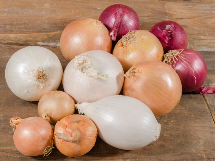 nexus onion link